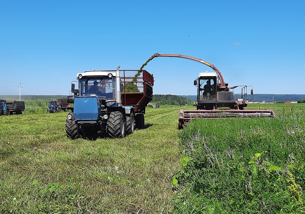 RF Ministry of Agriculture Lists Penza Oblast among Leaders in Feed Preparation