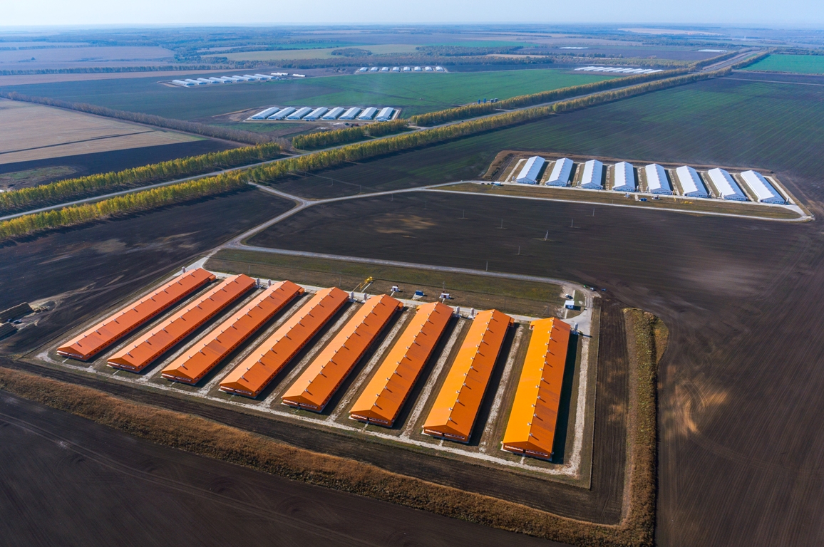 Damate Group to launch facilities in Vadinsky sub-district