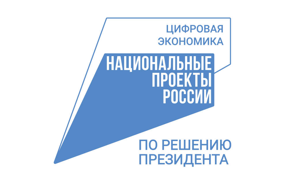 Electronic Services Provided to Residents of Penza Oblast Increased by 52% in 2024 Electronic Services Provided to Residents of Penza Oblast Increased by 52% in 2024