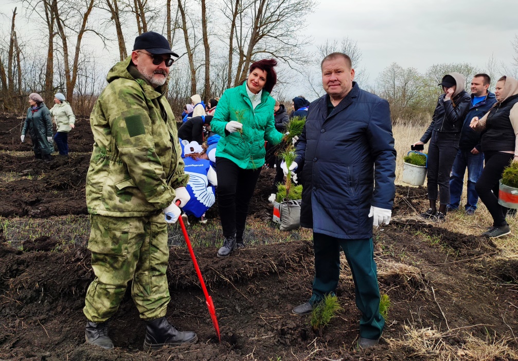6,000 Pine Trees Planted in Penza Oblast in Memory of Those Who Died in the Great Patriotic War