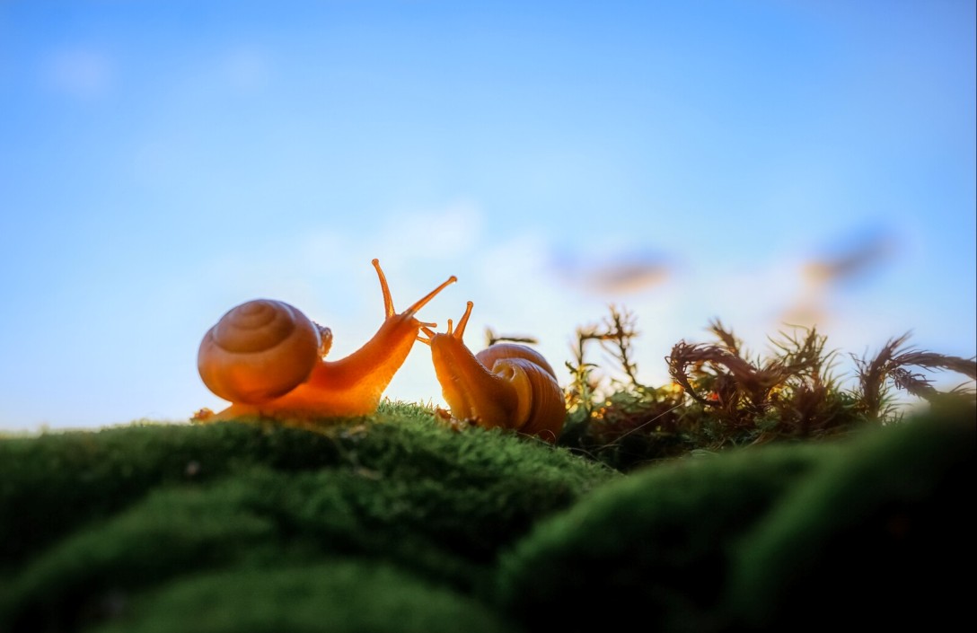 Filipp Kharchenko Among Winners of "The Most Beautiful Country" Photo Contest