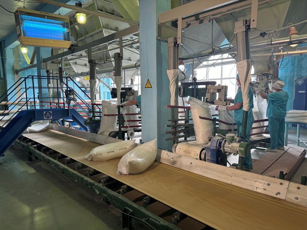 330,000 Tons of Sugar Produced in Penza Oblast 330,000 Tons of Sugar Produced in Penza Oblast