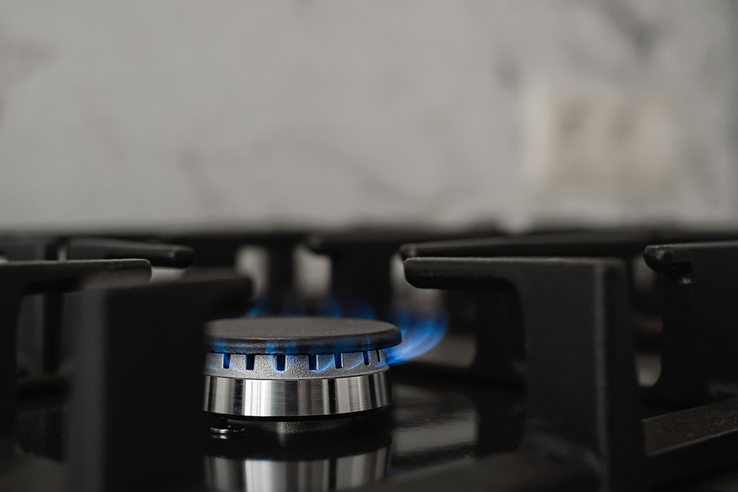 Penza Oblast Ranks Among Russia’s Top Three Leaders in Gas Supply in 2024