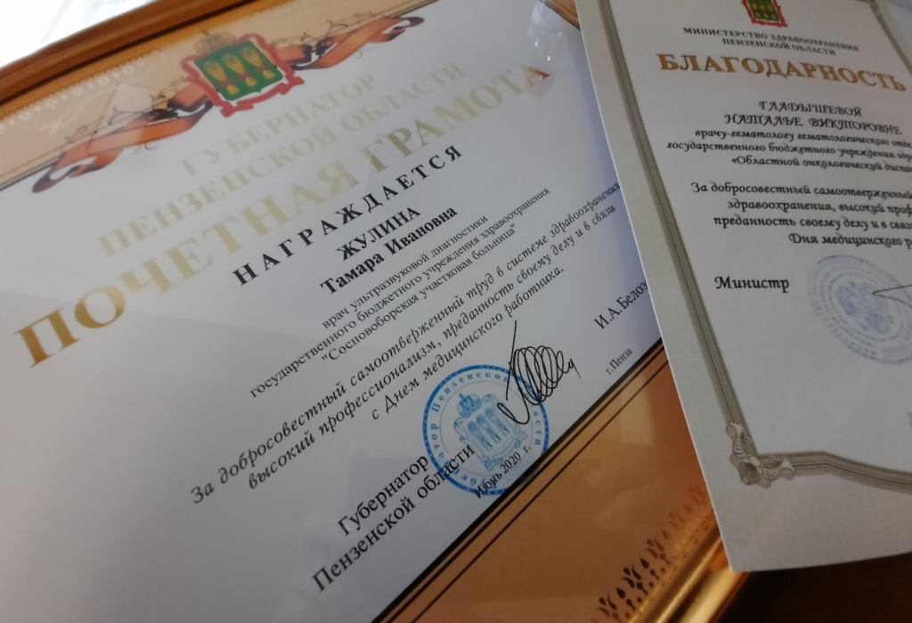 More than 1 600 Penza Oblast Medical Workers to be Awarded