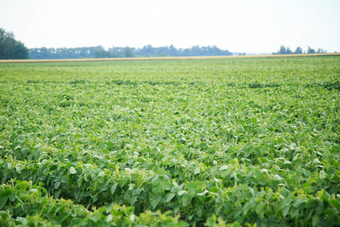 The growth of the production index at small farms of Penza regions is outstripping the overall Russian one The growth of the production index at small farms of Penza regions is outstripping the overall Russian one