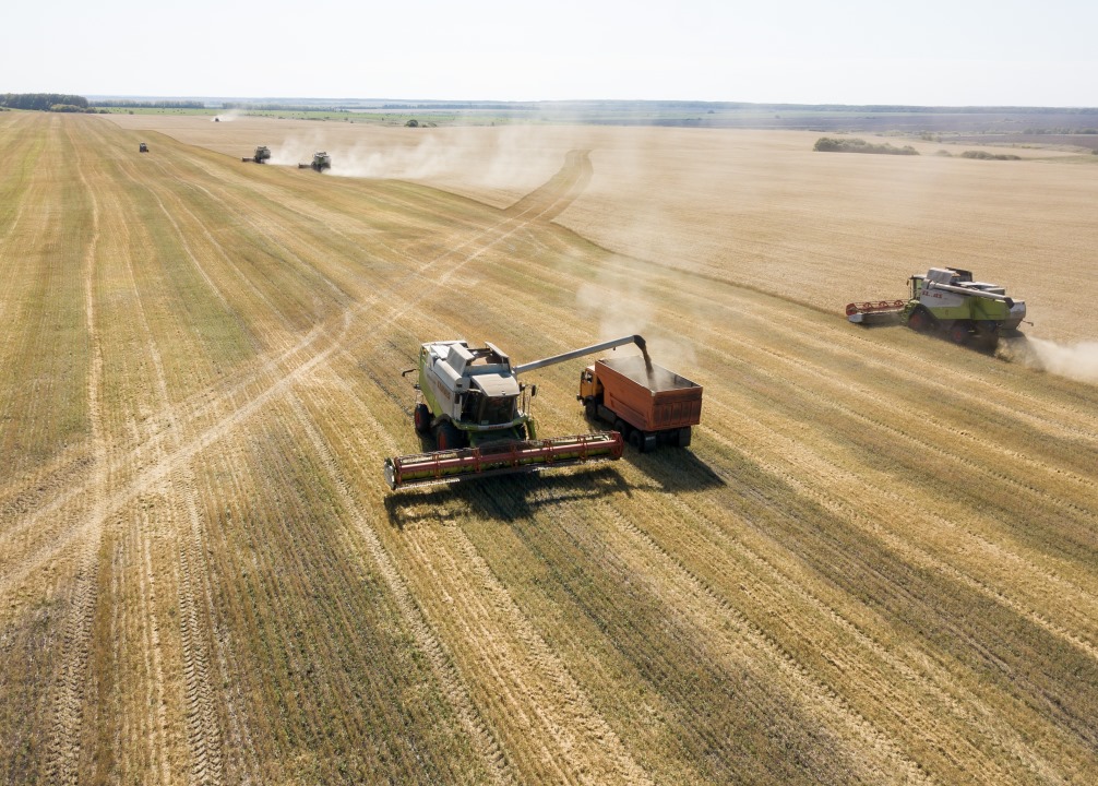 Agricultural Enterprises of Penza Oblast Produced 3.1 Million Tons of Grain