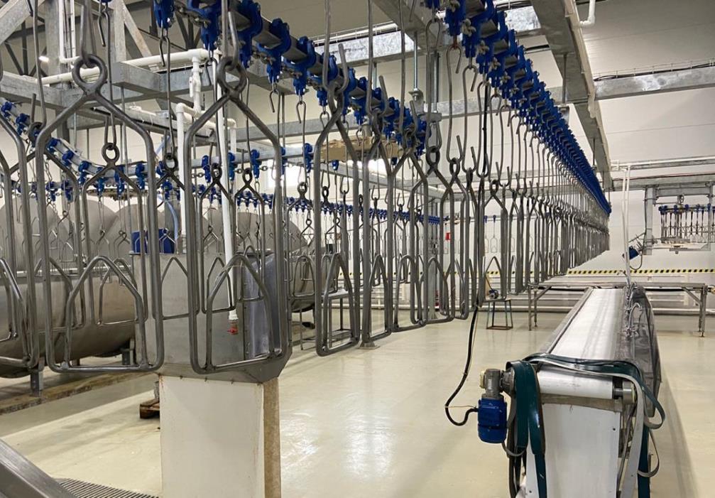 Penza Oblast Among TOP 10 Regions in Poultry Sales 
