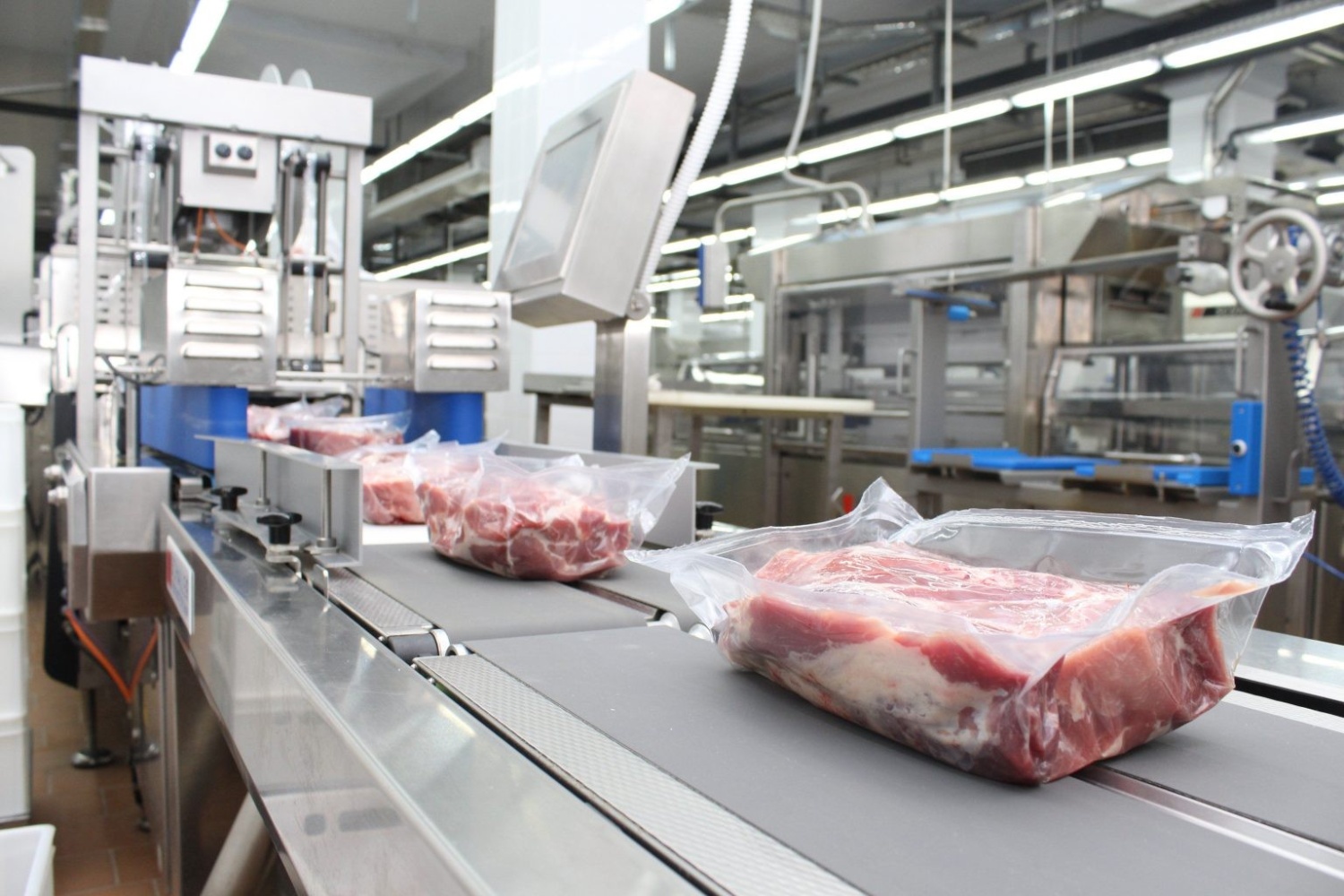 Meat, Sausage, and Vegetable Oil Production Increased in Penza Oblast