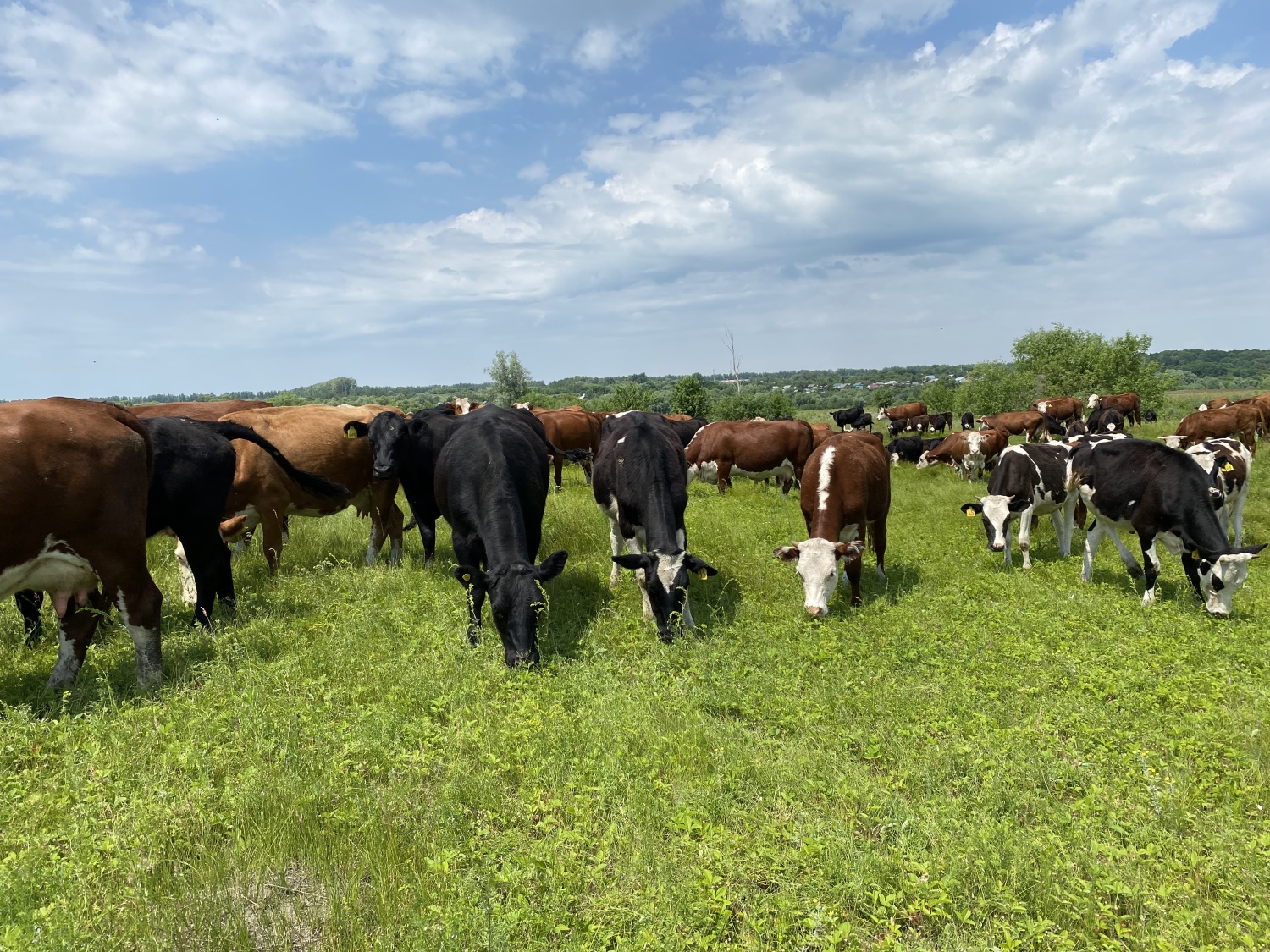 Penza Projects to Receive Agrostartup Grant in 2024 Penza Projects to Receive Agrostartup Grant in 2024