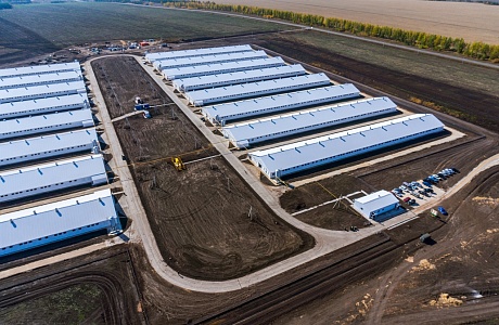 Turkey Production Expansion to Continue in Penza Oblast 