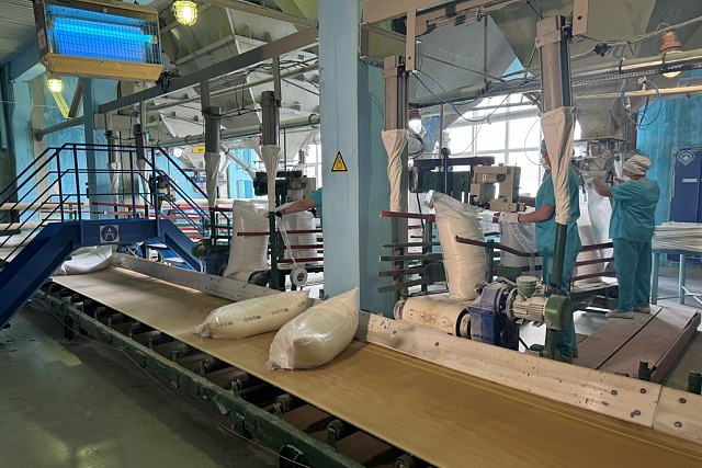 330,000 Tons of Sugar Produced in Penza Oblast