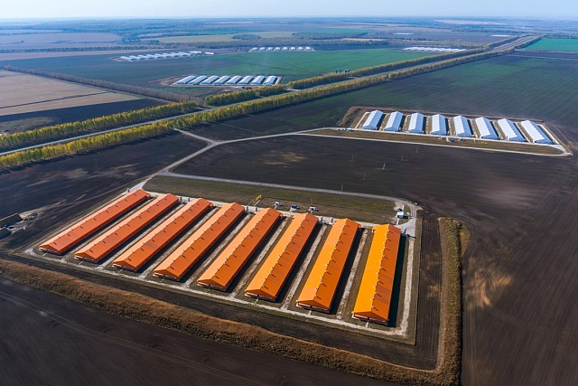 Damate Group to launch facilities in Vadinsky sub-district
