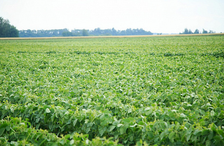 The growth of the production index at small farms of Penza regions is outstripping the overall Russian one