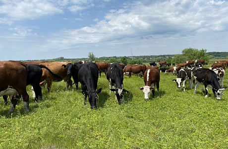 Penza Projects to Receive Agrostartup Grant in 2024 Penza Projects to Receive Agrostartup Grant in 2024