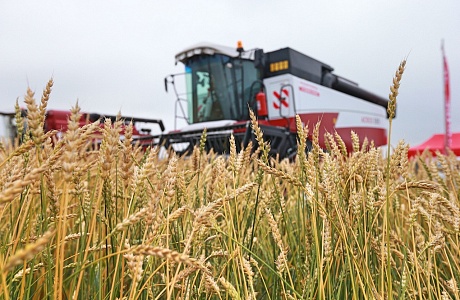 Penza Farmers to Receive Subsidies for Priority Business Development Penza Farmers to Receive Subsidies for Priority Business Development