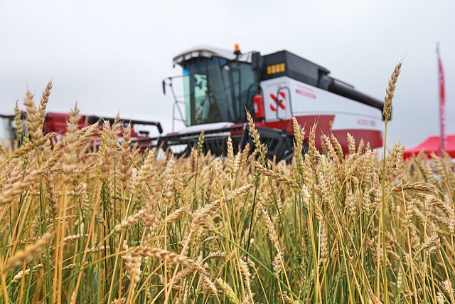 Penza Farmers to Receive Subsidies for Priority Business Development