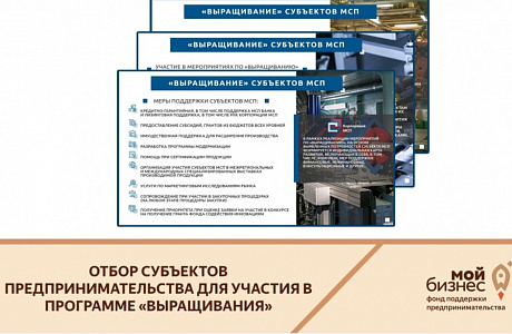 Penza Entrepreneurs Can Take Part in Growth Programme