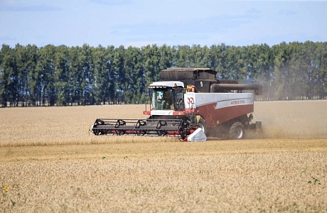 Penza Oblast Farmers Receive About 1.3 Billion Rubles in State Support