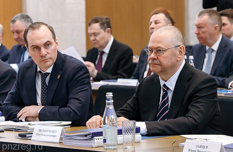 Governor Takes Part in Advisory Council to Volga Federal District