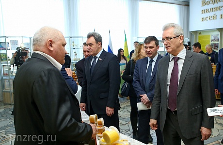 To prevent bees from dying a regional law will be revised in Penza region
