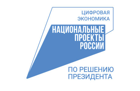 Electronic Services Provided to Residents of Penza Oblast Increased by 52% in 2024 Electronic Services Provided to Residents of Penza Oblast Increased by 52% in 2024