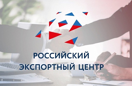 Penza Oblast Implements Regional Export Standard 2.0 Tools Ahead of Schedule