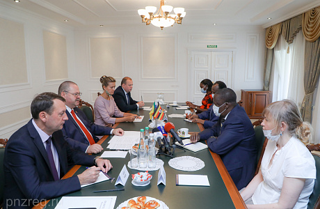 Acting Governor Instructs to Make Work Flow Chart on Interaction between Penza Oblast and Uganda