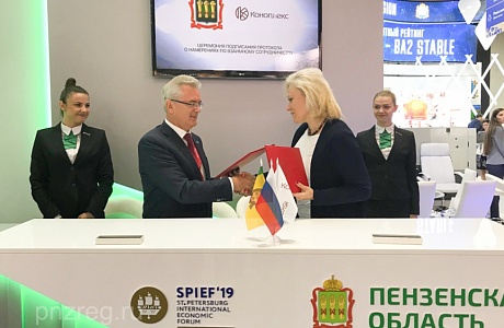 The Head of Penza region held negotiations with the director general of “Konoplex” group of companies