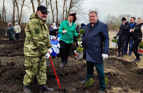 6,000 Pine Trees Planted in Penza Oblast in Memory of Those Who Died in the Great Patriotic War