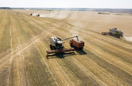 Agricultural Enterprises of Penza Oblast Produced 3.1 Million Tons of Grain