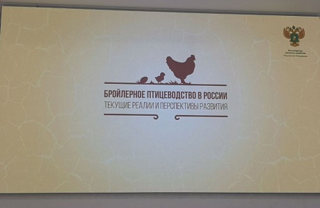 Penza Oblast Among Leaders in Poultry Production