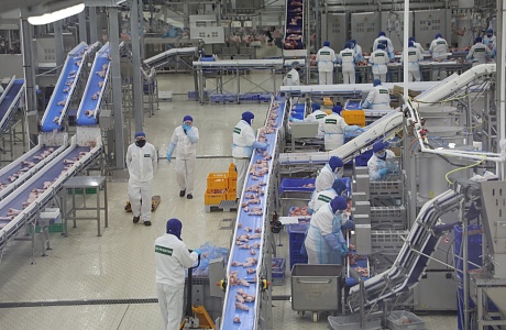 Damate Achieved Record Meat Exports in 2024