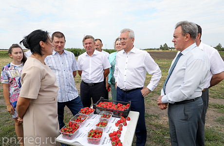 Governor Orders to Create New Mechanisms to Support Successful Farms