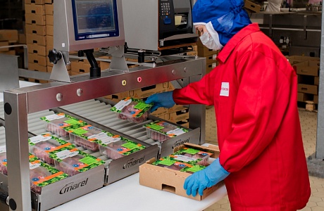 Flagship of Penza Agribusiness Increases Export Volumes of Turkey Products