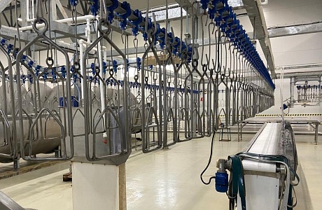 Penza Oblast Among TOP 10 Regions in Poultry Sales 