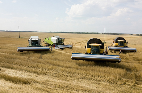 Gross Grain Harvest Exceeded 1.5 million Tons in Penza Oblast